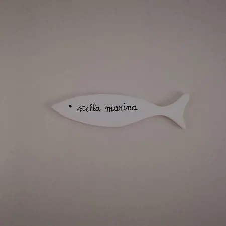 Punto Feliz