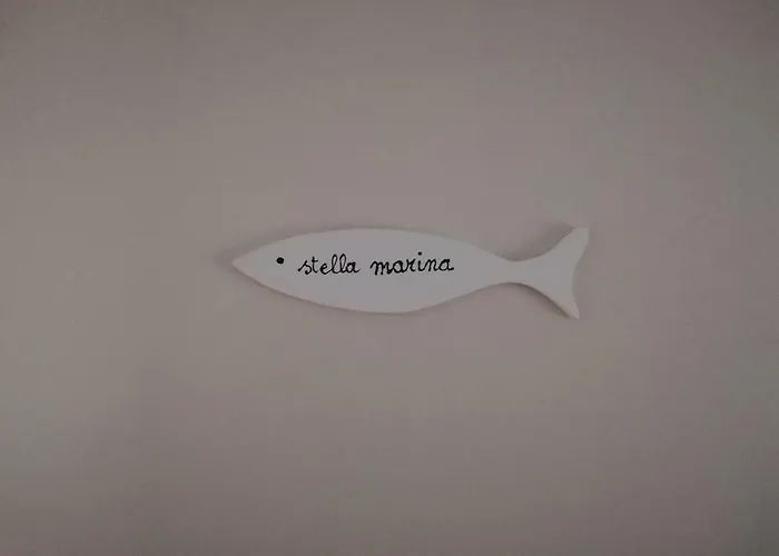Punto Feliz